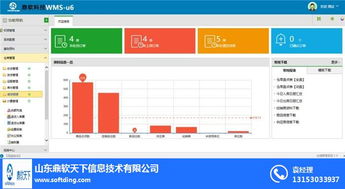 鼎軟天下信息公司 濱州倉庫管理系統選擇指南及計算機信息技術咨詢服務解析